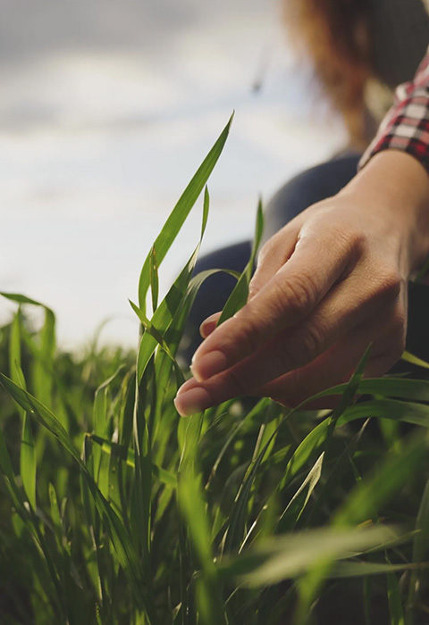 Crop Protection